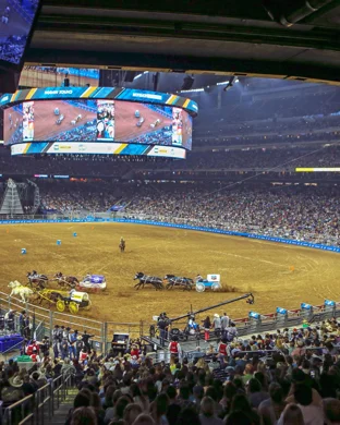 Dirty South Rodeo Festival: Virginia