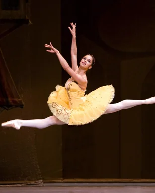 World Ballet Company: The Nutcracker